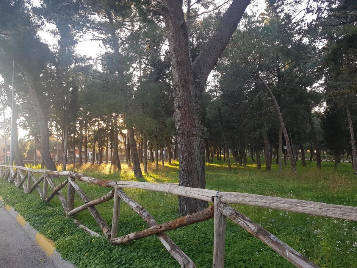 B&B La Pineta Quasani Exteriér fotografie