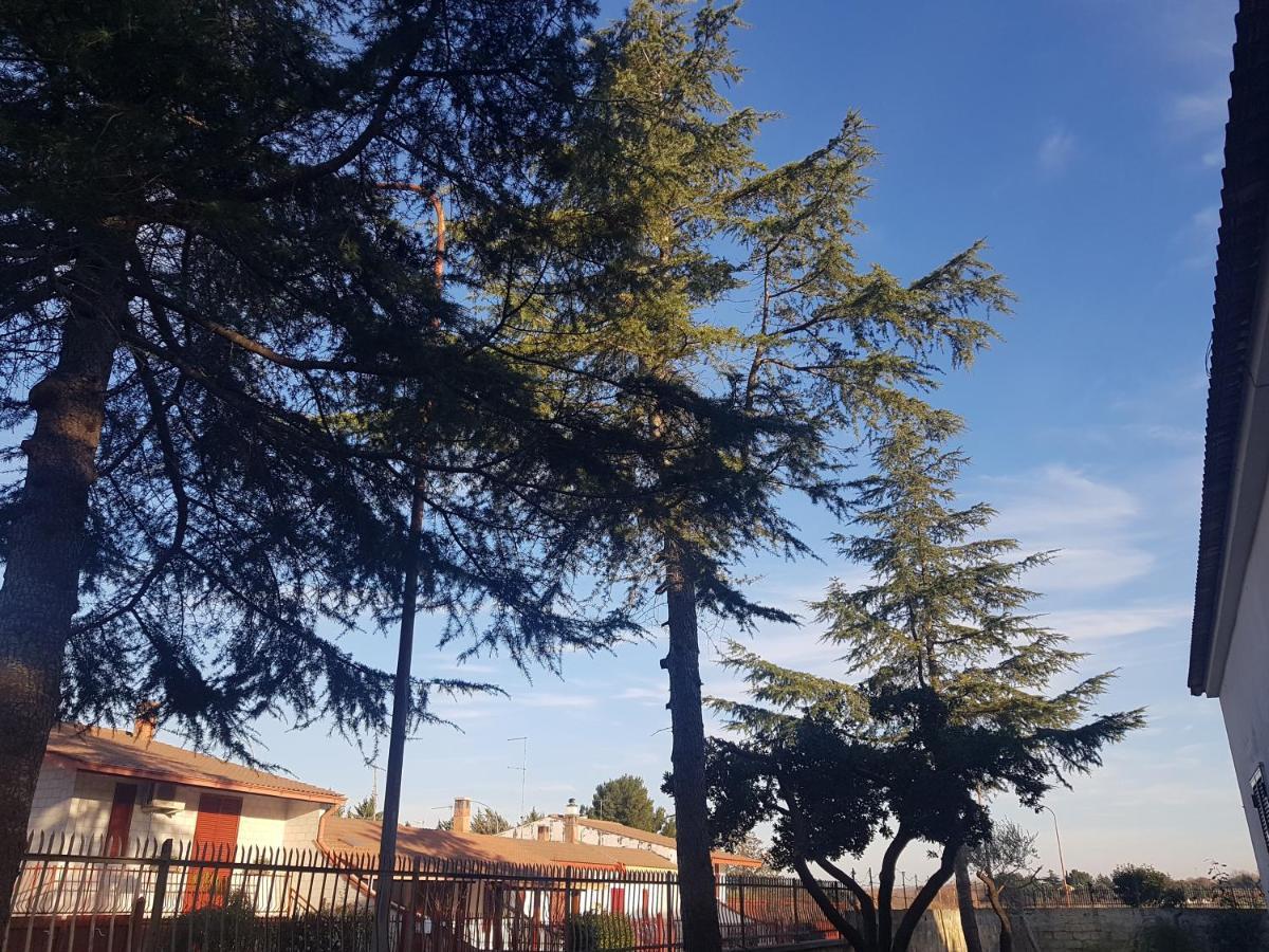 B&B La Pineta Quasani Exteriér fotografie